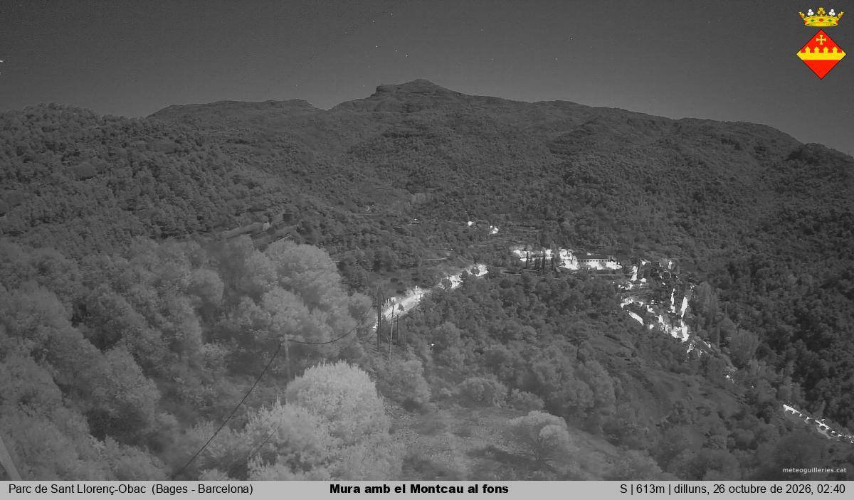 Mura amb el Montcau al fons