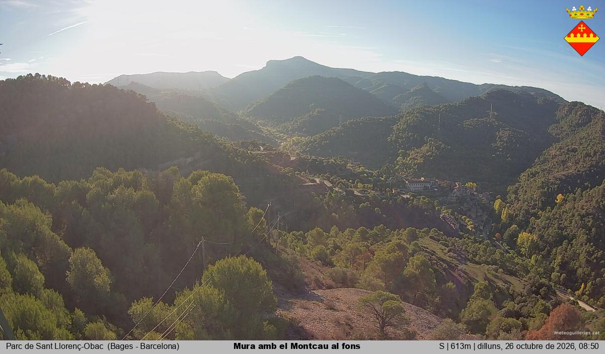 Mura amb el Montcau al fons