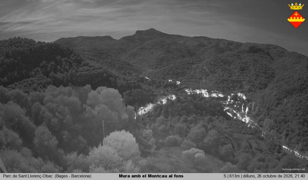 Mura amb el Montcau al fons