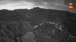 Webcams