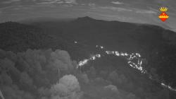 Webcams