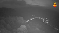 Webcams