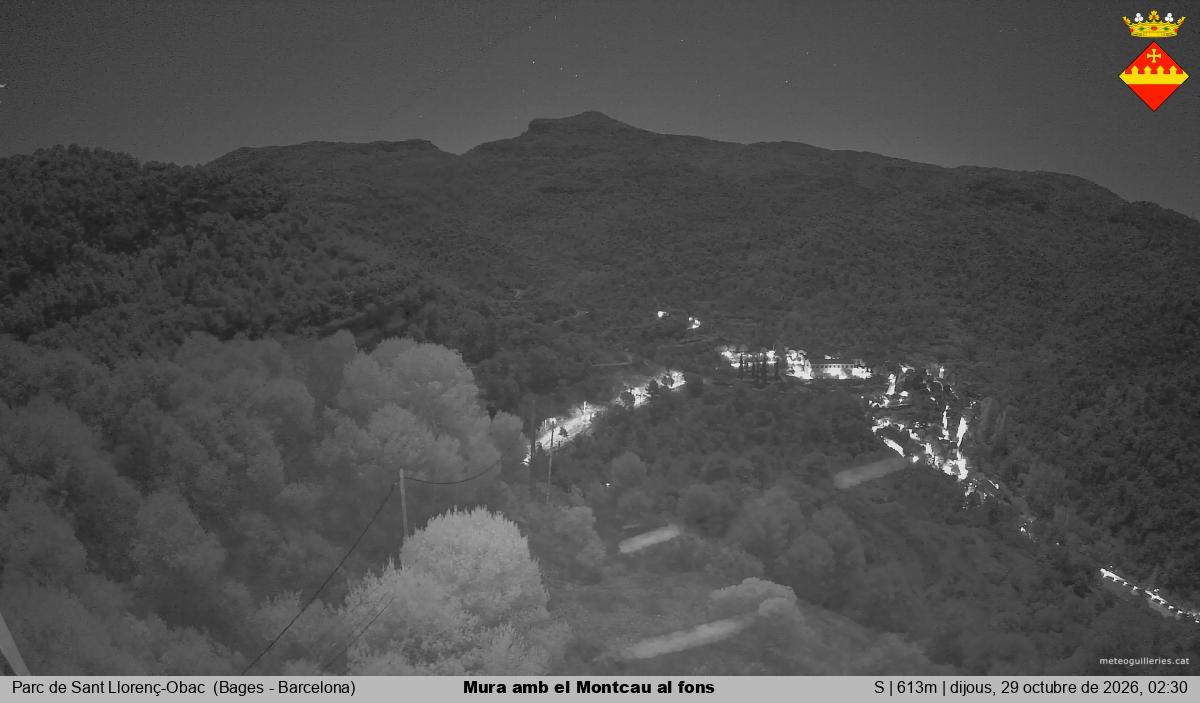 Mura amb el Montcau al fons