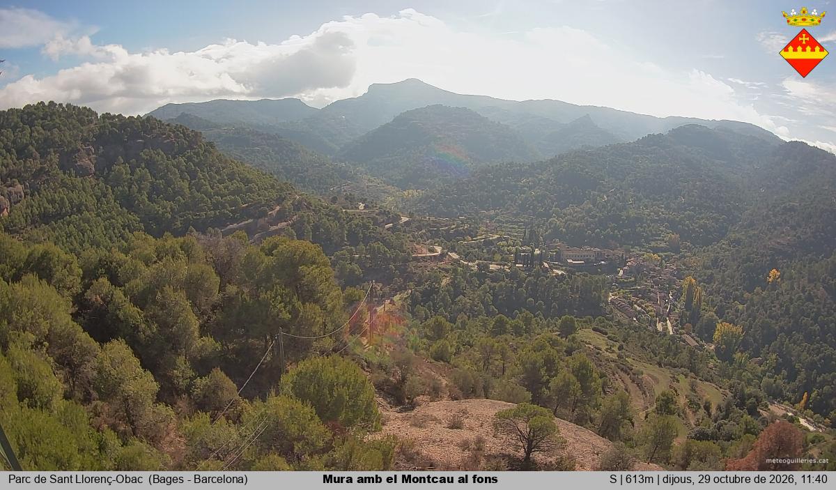 Mura amb el Montcau al fons