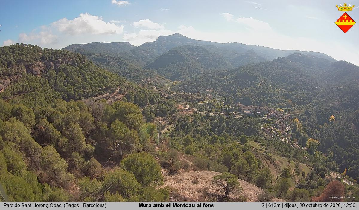 Mura amb el Montcau al fons