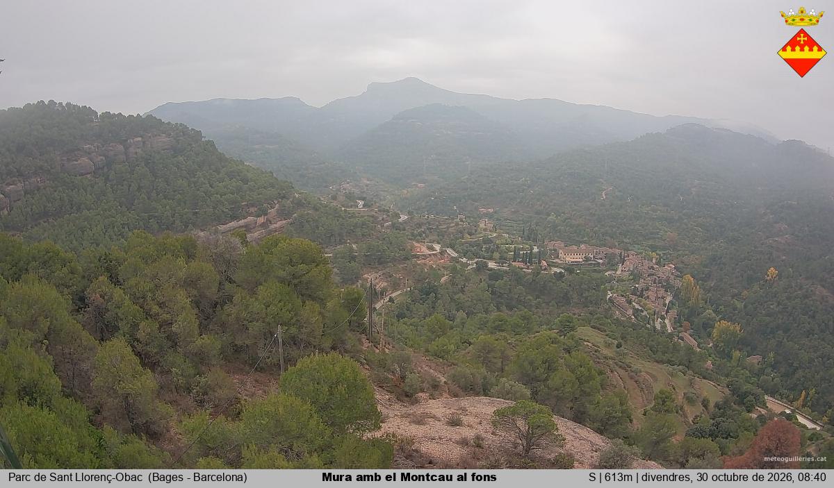 Mura amb el Montcau al fons