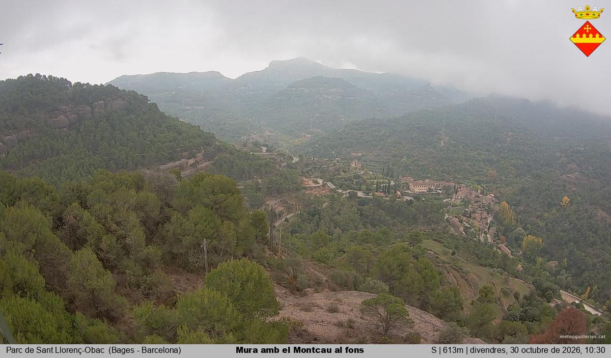 Mura amb el Montcau al fons
