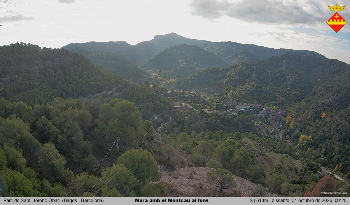 Mura amb el Montcau al fons