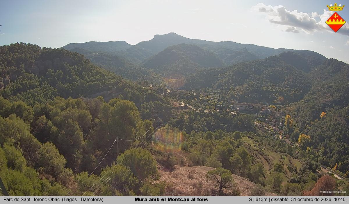Mura amb el Montcau al fons