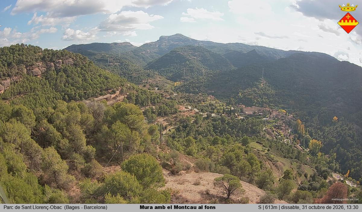 Mura amb el Montcau al fons
