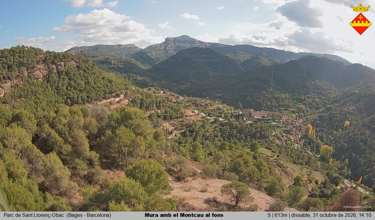 Mura amb el Montcau al fons