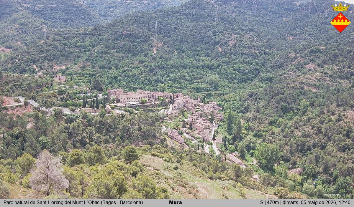 Mura 