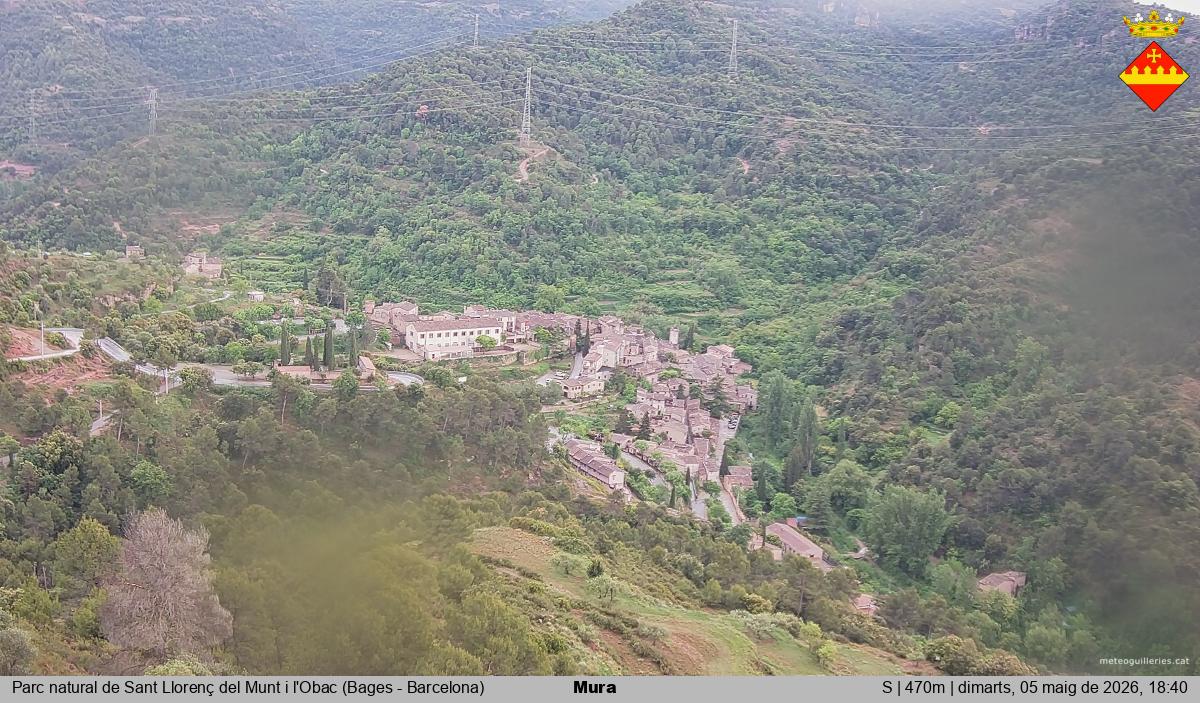 Mura 