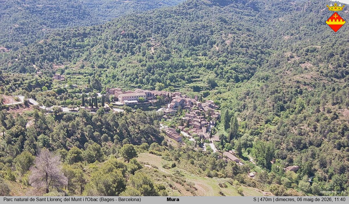 Mura 