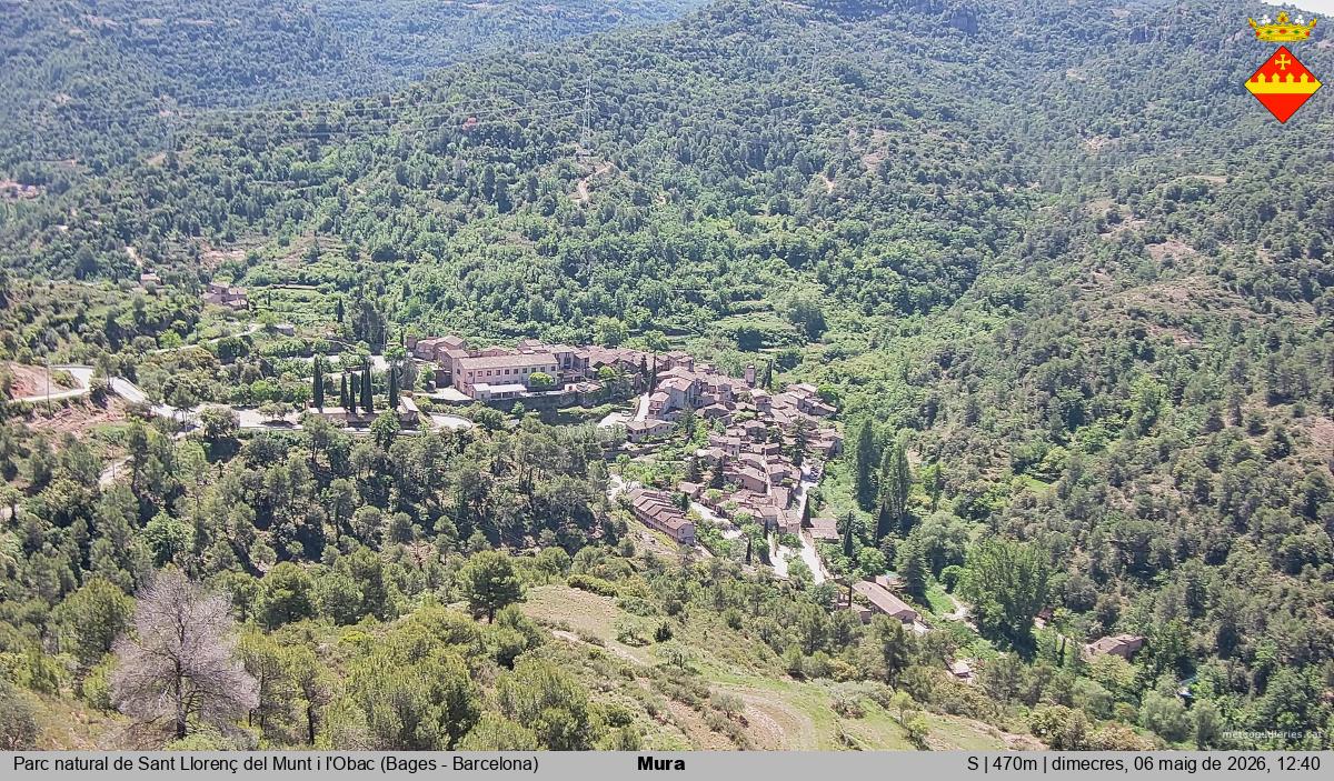 Mura 