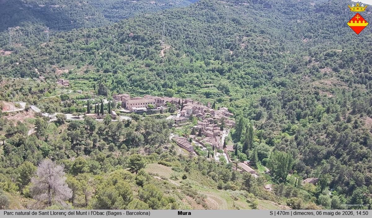 Mura 