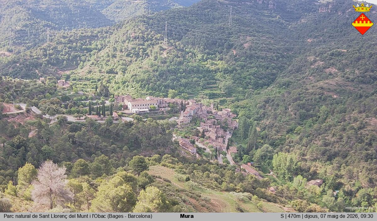 Mura 