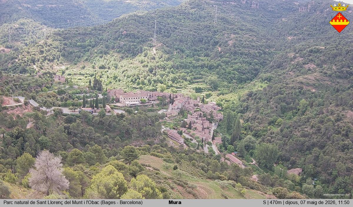 Mura 
