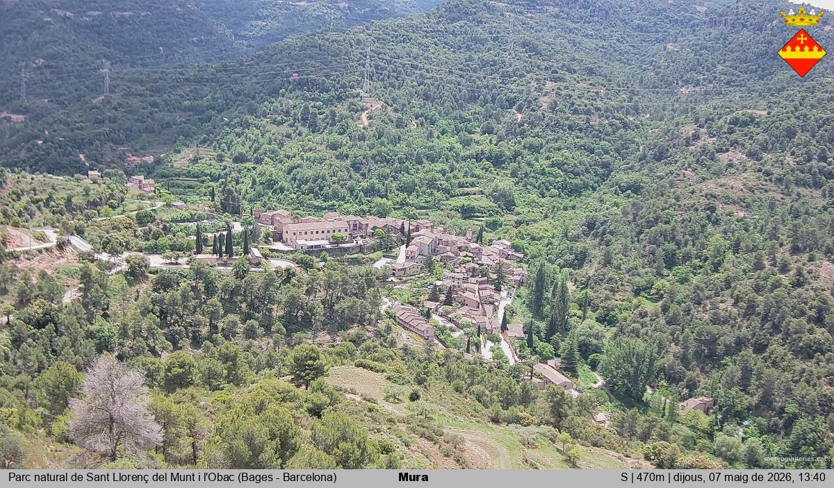 Mura 