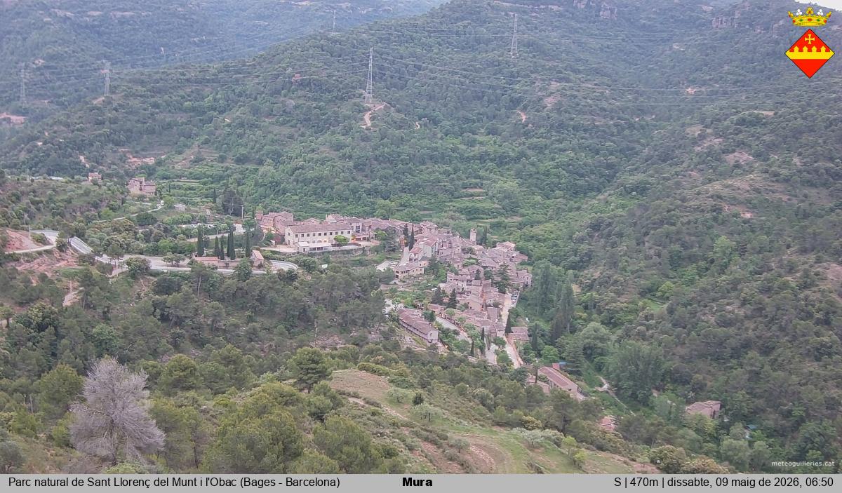 Mura 
