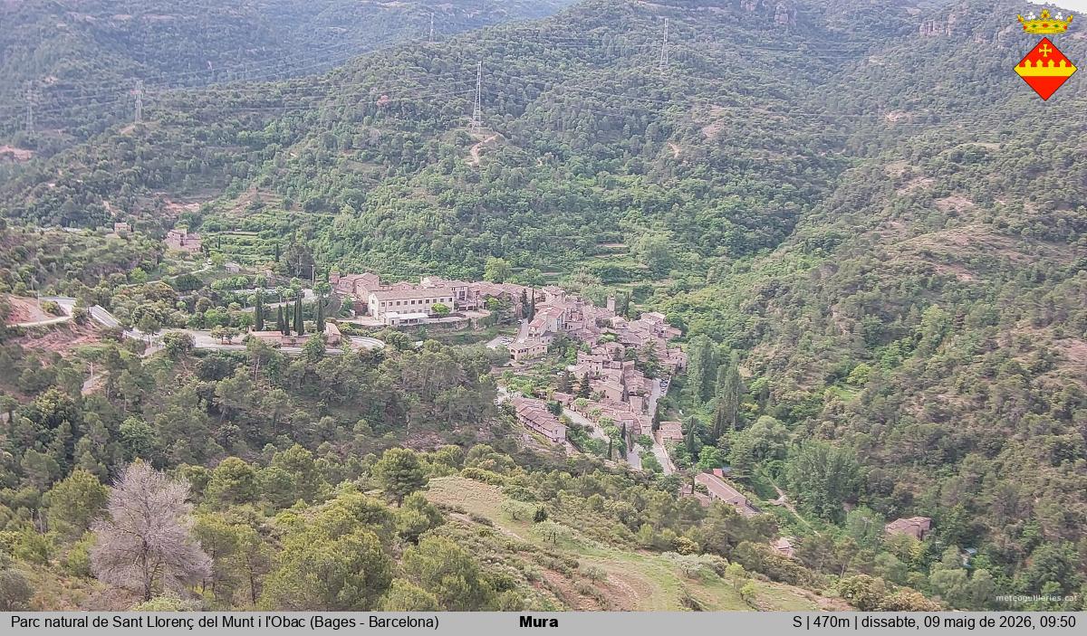 Mura 
