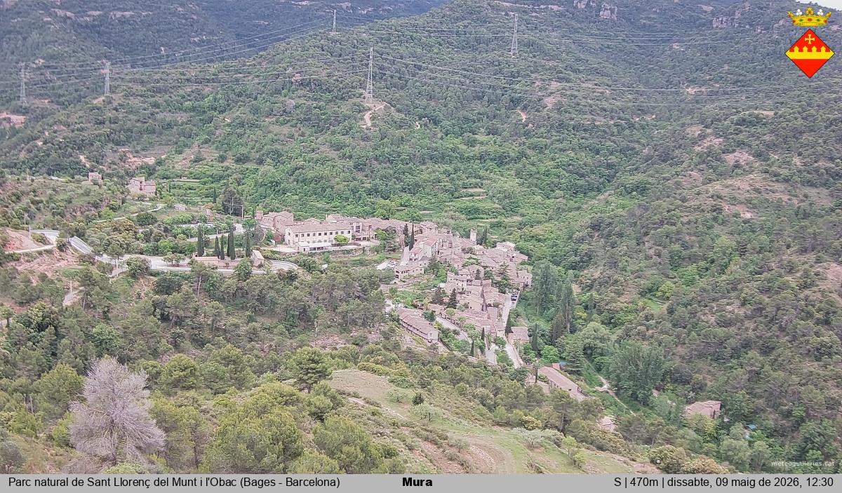 Mura 