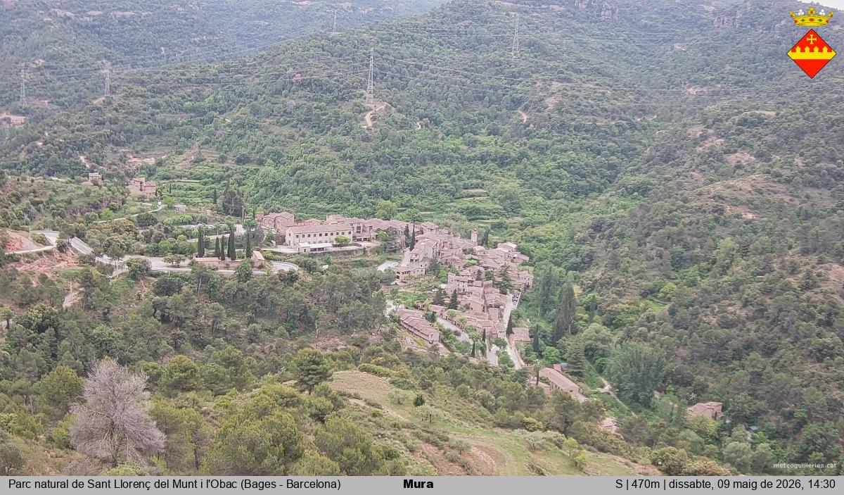 Mura 