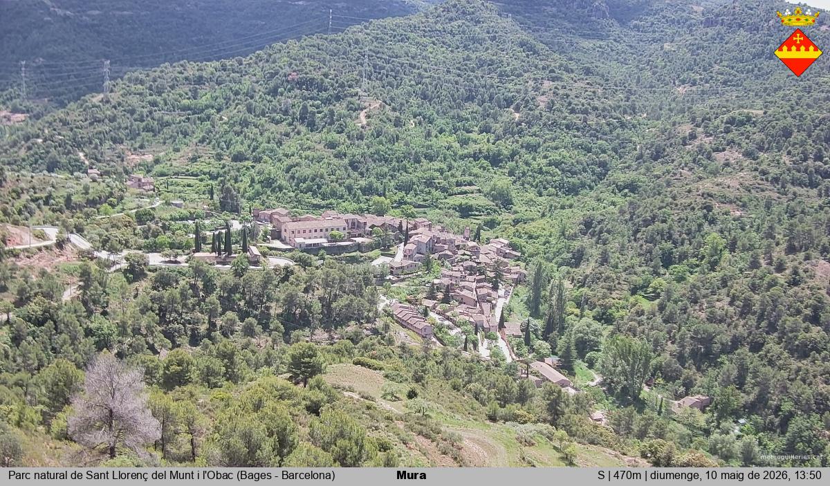 Mura 