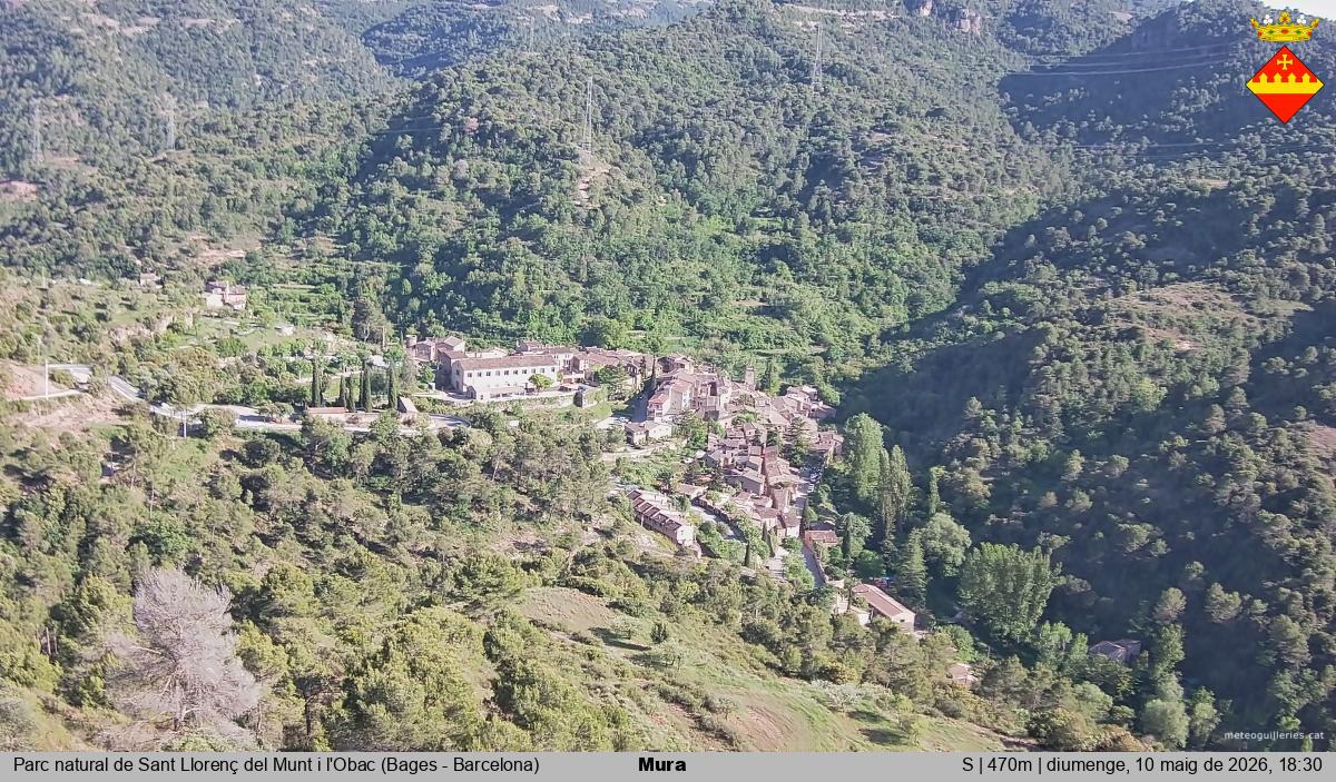 Mura 
