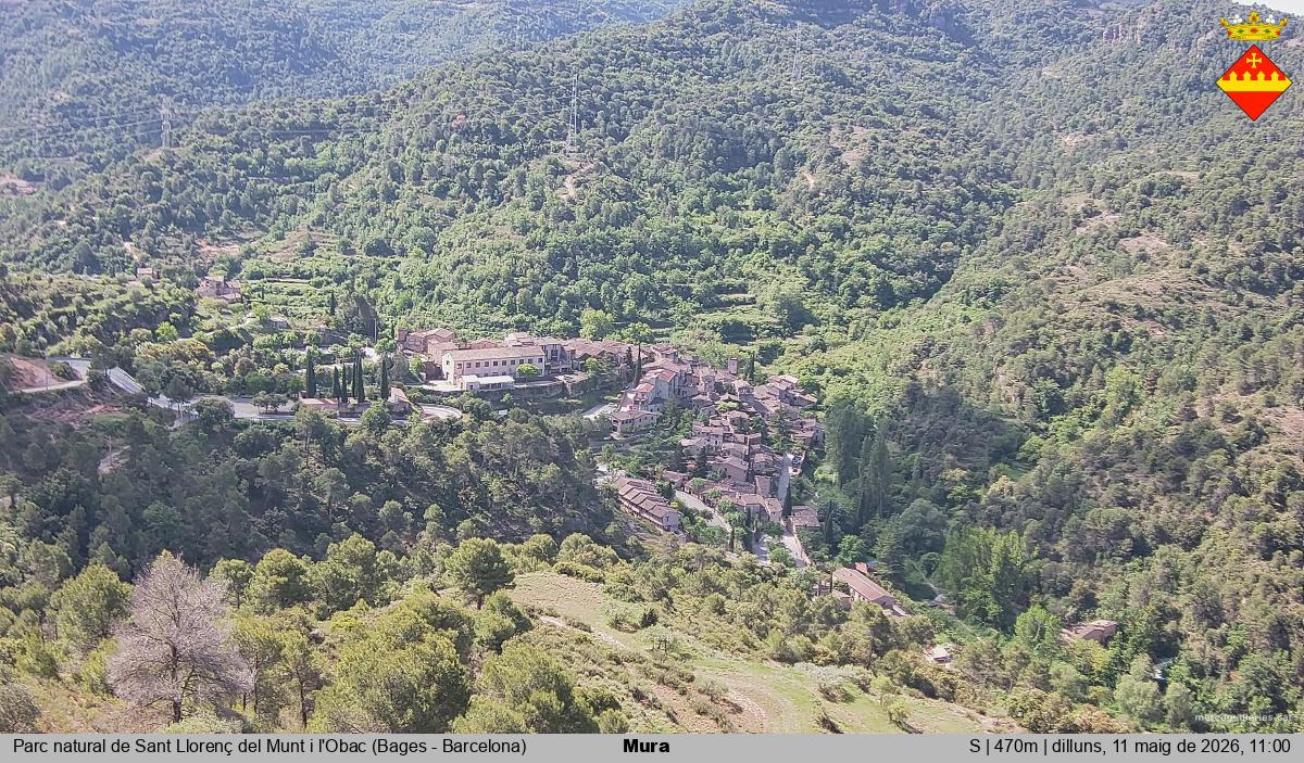 Mura 