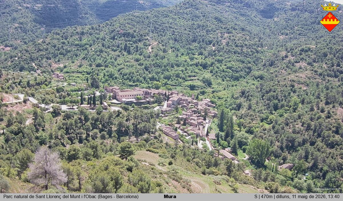 Mura 