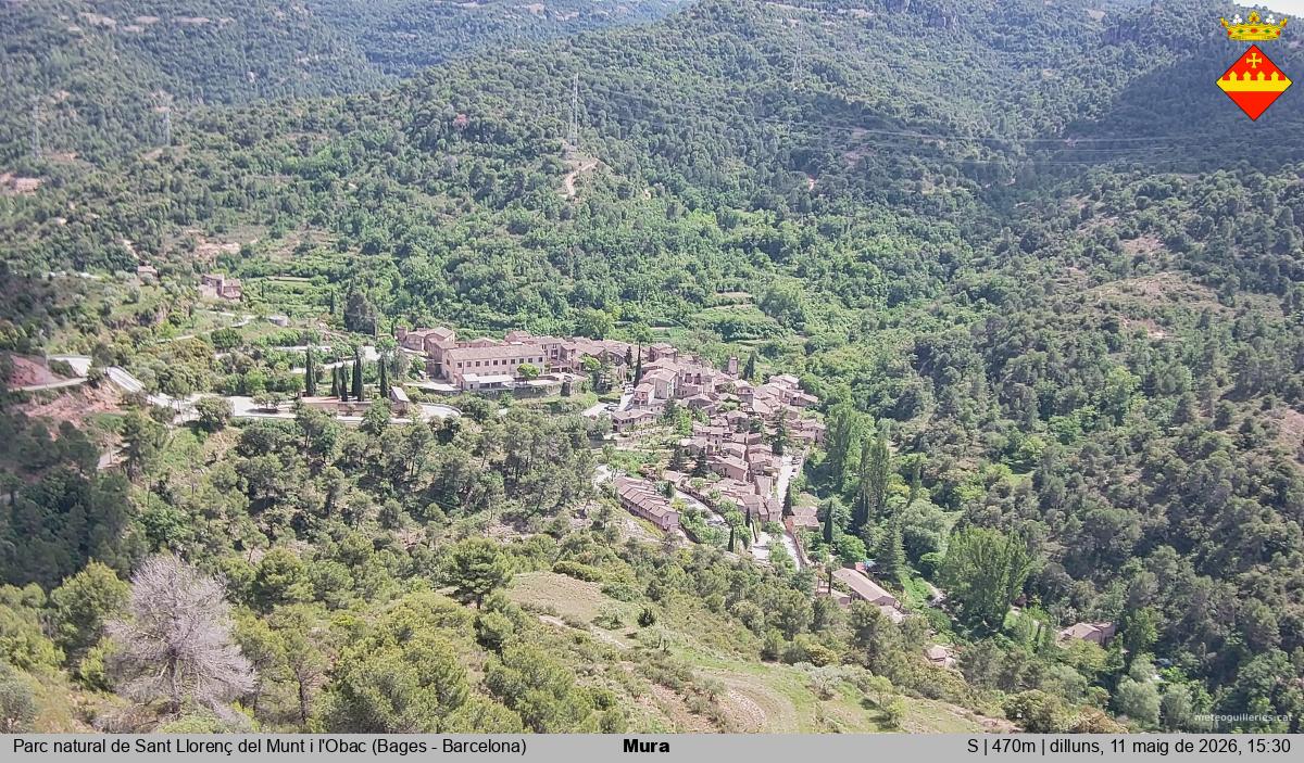 Mura 