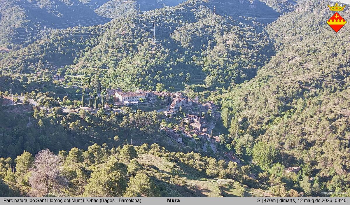Mura 