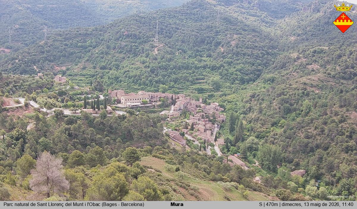 Mura 