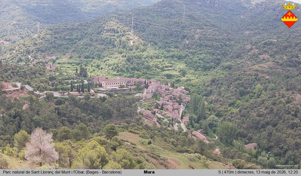 Mura 