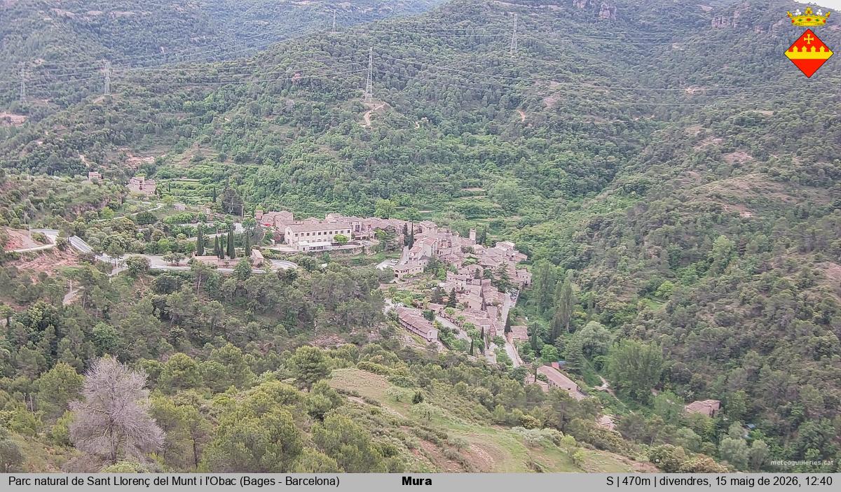 Mura 