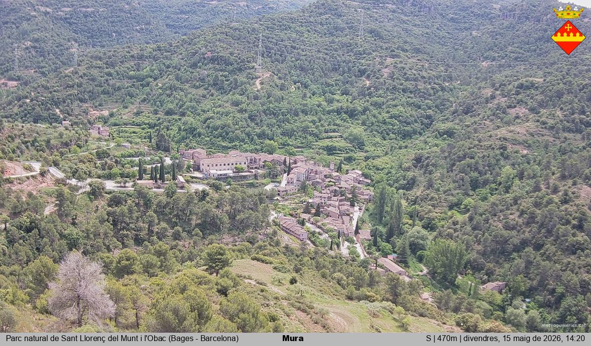 Mura 