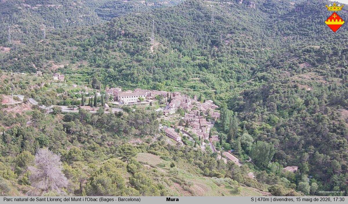 Mura 