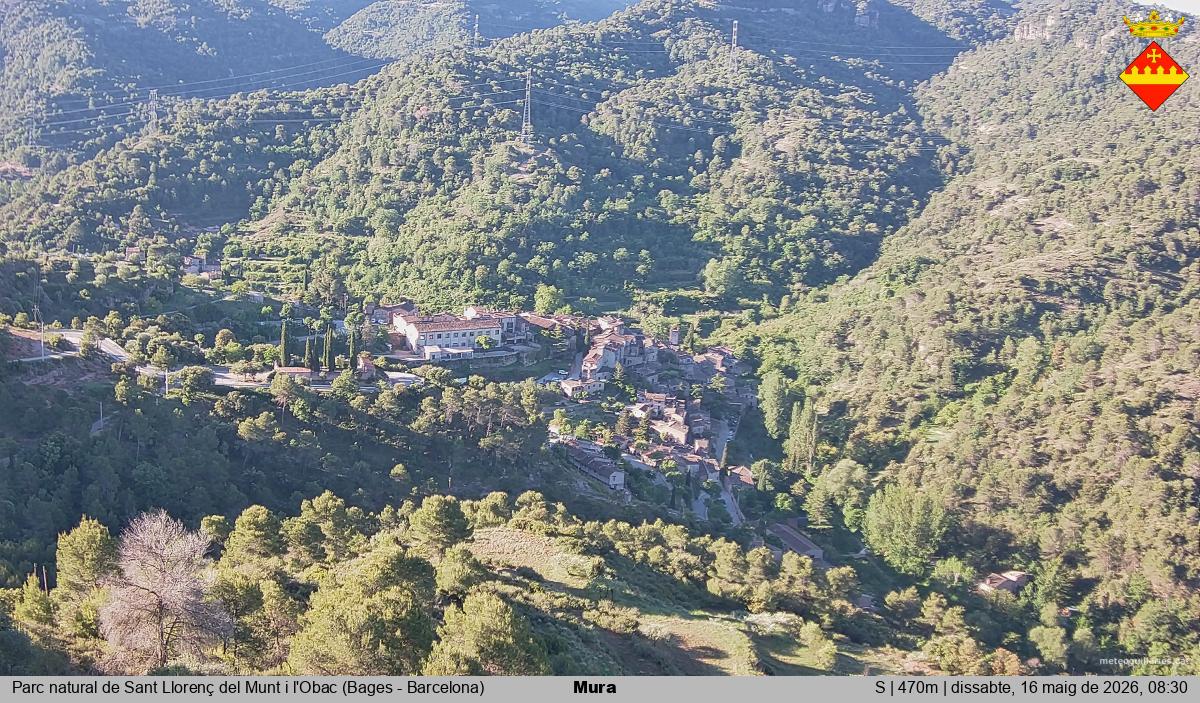 Mura 