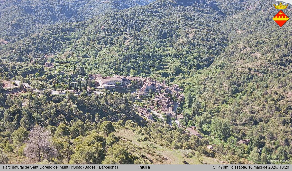 Mura 