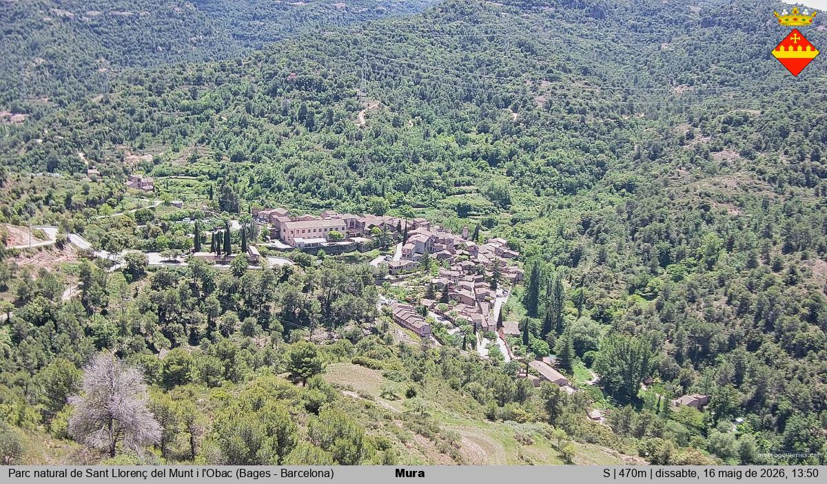Mura 