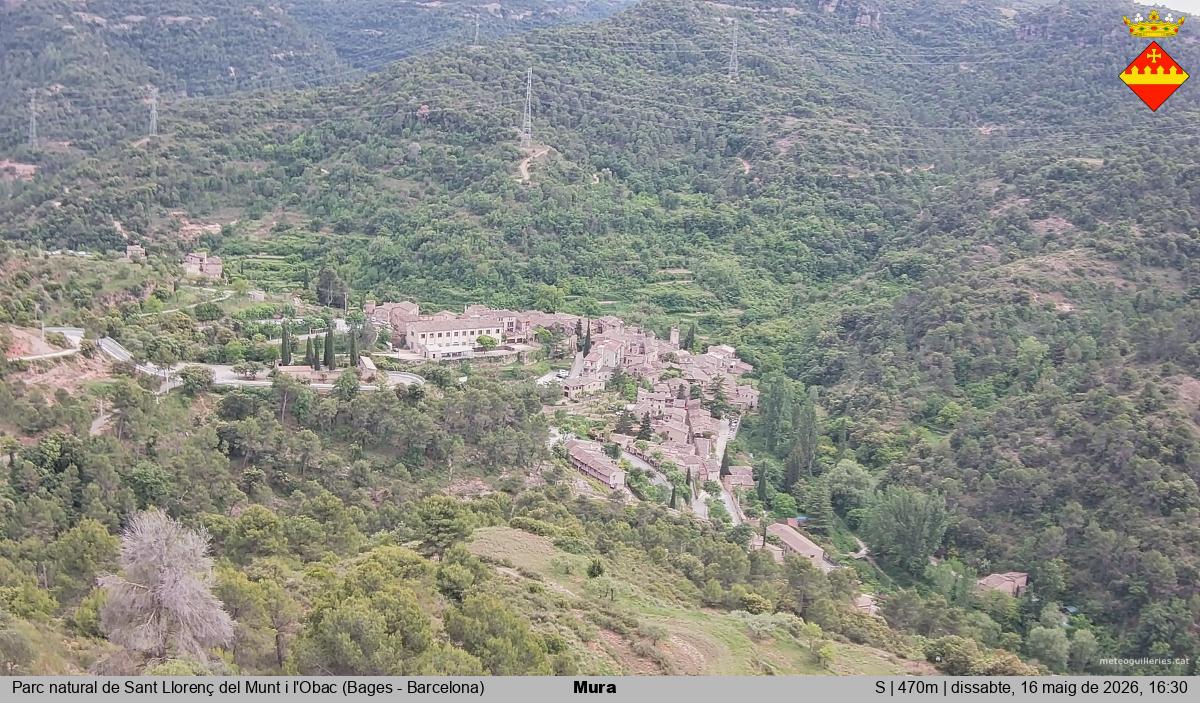 Mura 