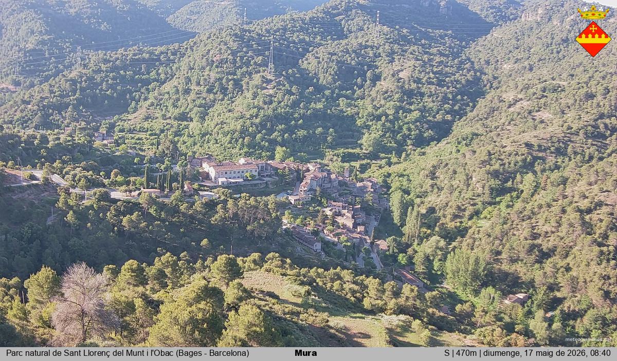 Mura 