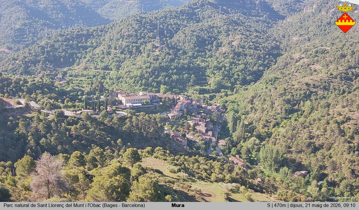 Mura 