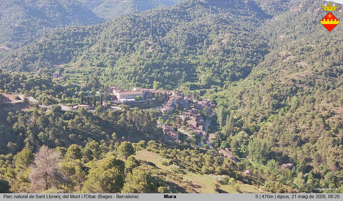 Mura 