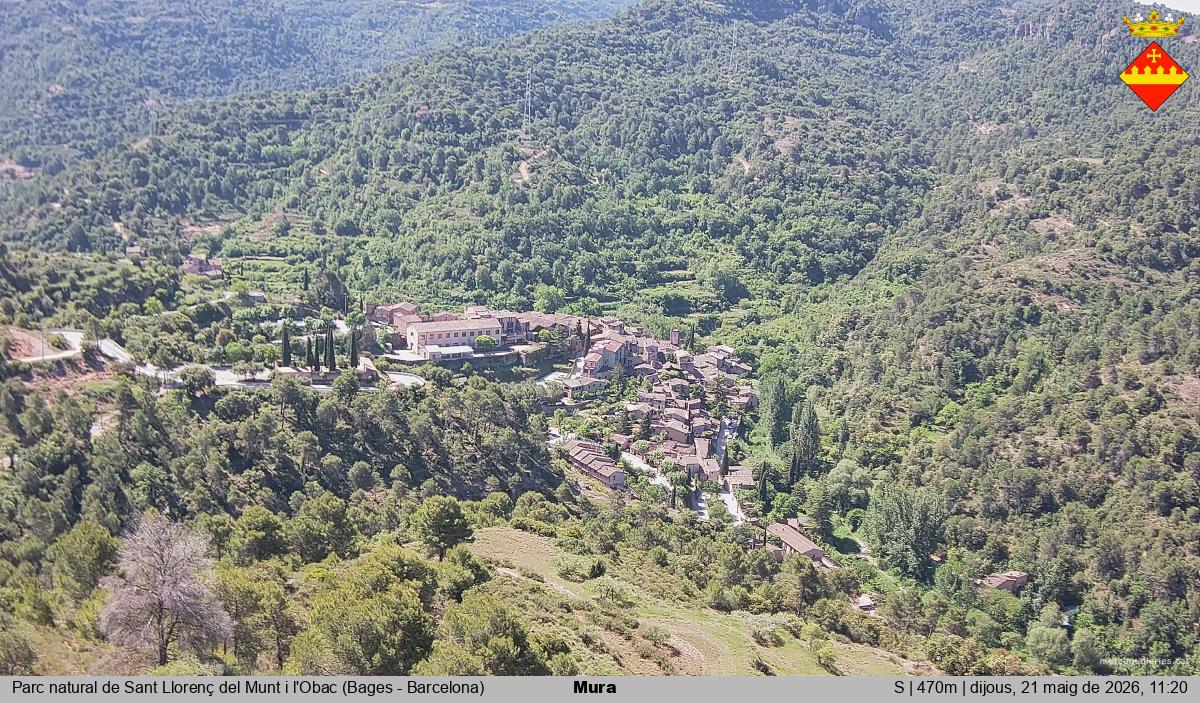 Mura 