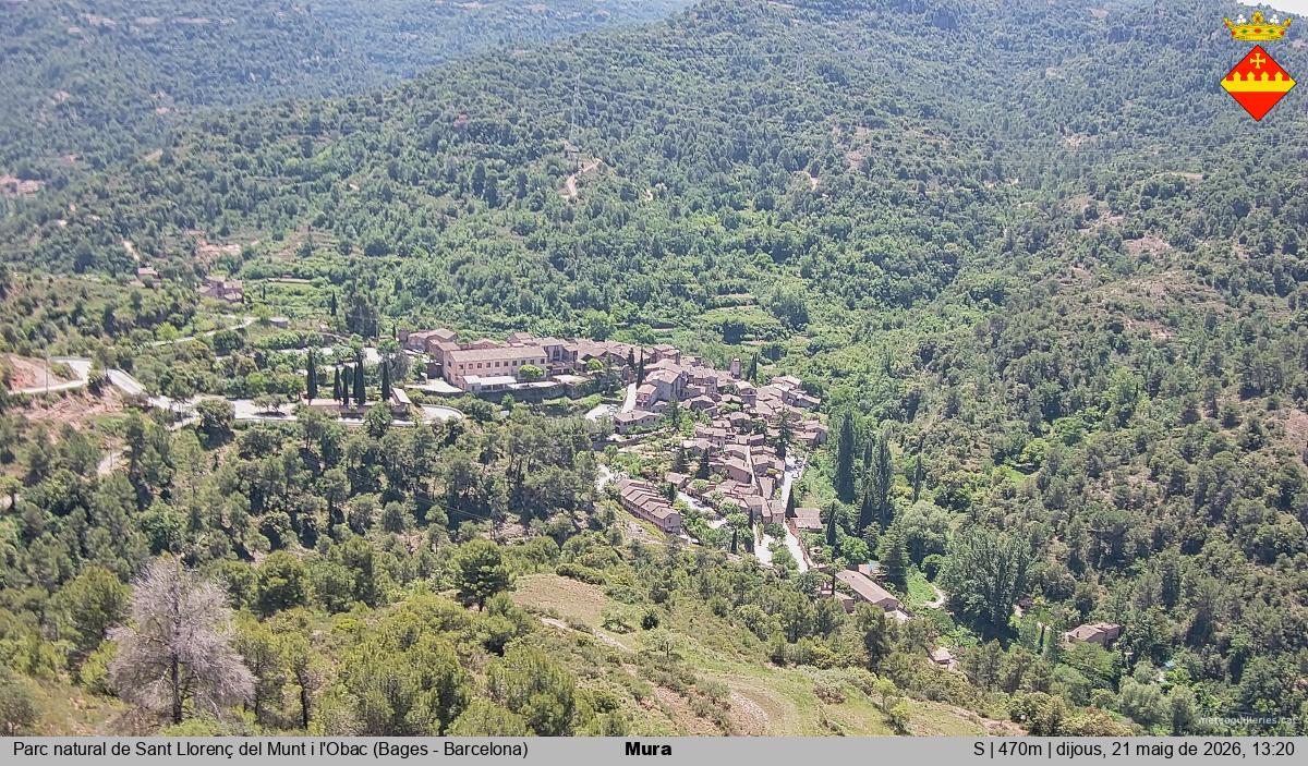Mura 