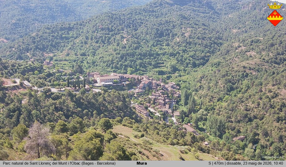 Mura 
