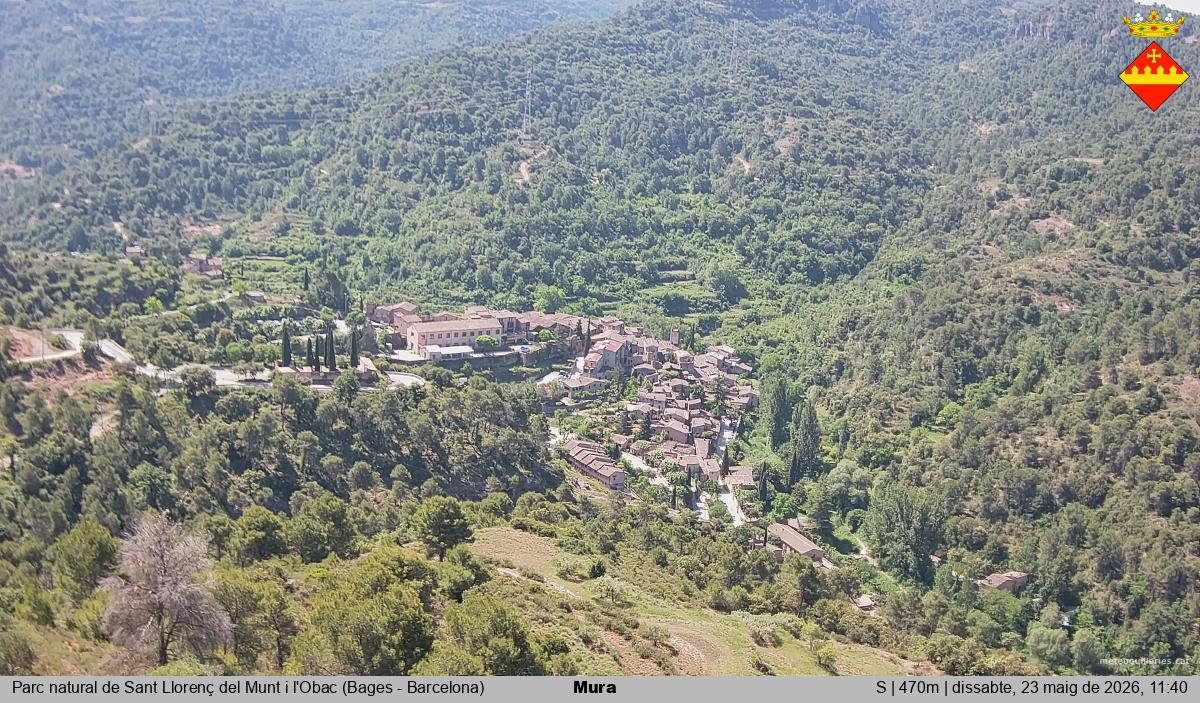 Mura 