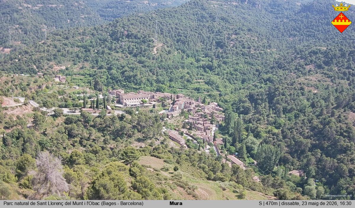 Mura 